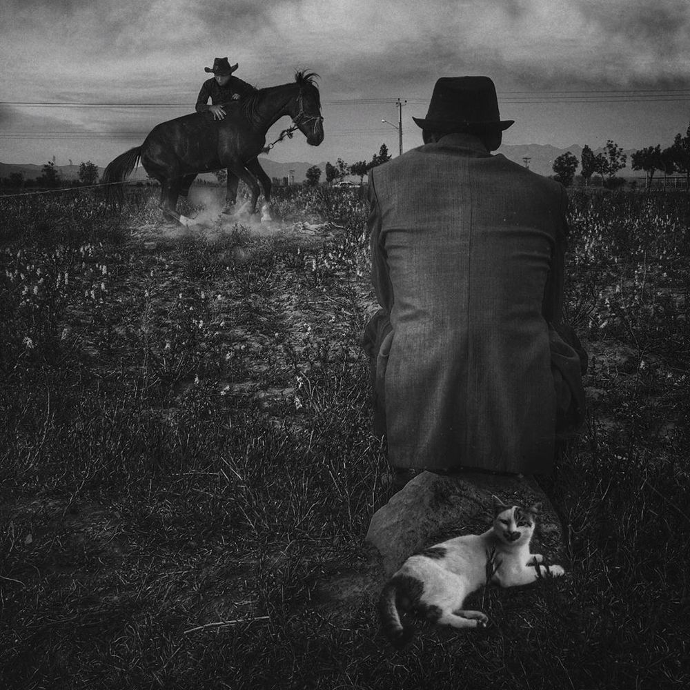 Фотография автора Mansoor Heydaryan