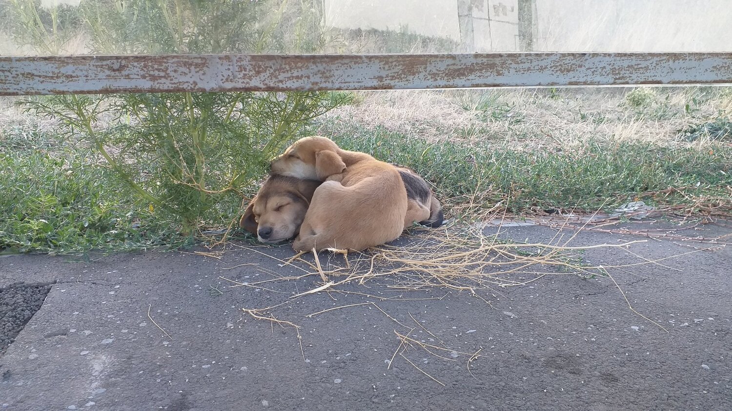 Хорошо, когда вместе...даже так...