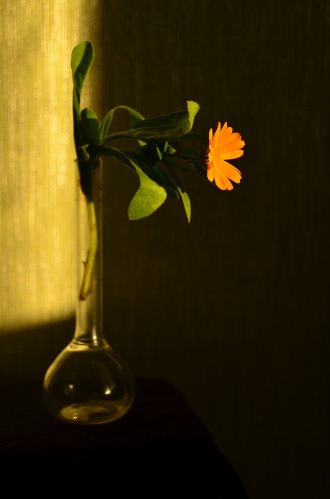 Photograph by Ольга Мокрова