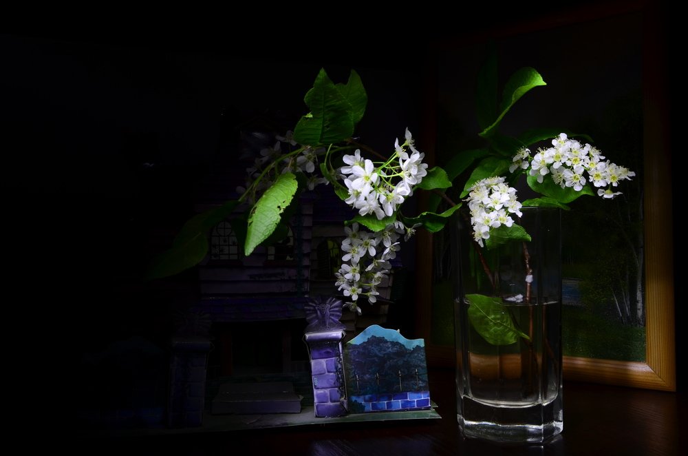 Photograph by Ольга Мокрова