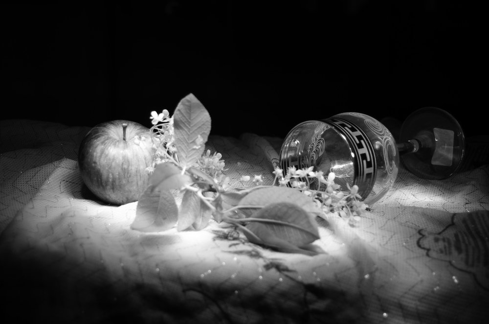 Photograph by Ольга Мокрова