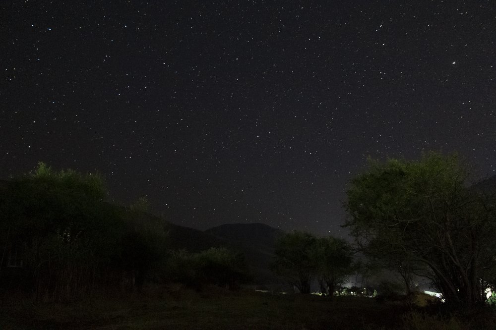 Photograph by Сергей Недогадов