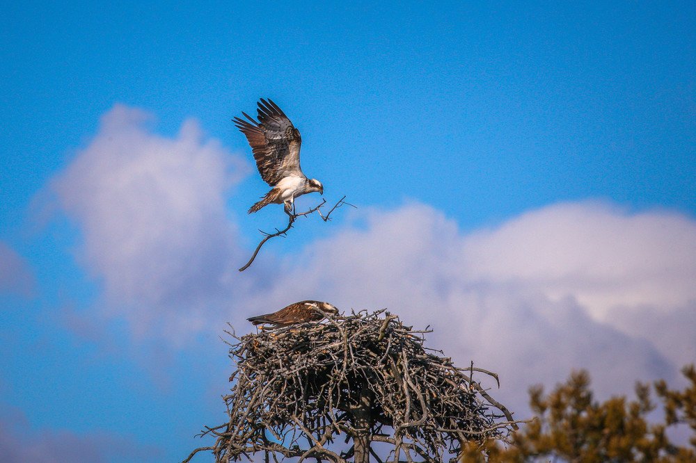 Photograph by Дмитрий