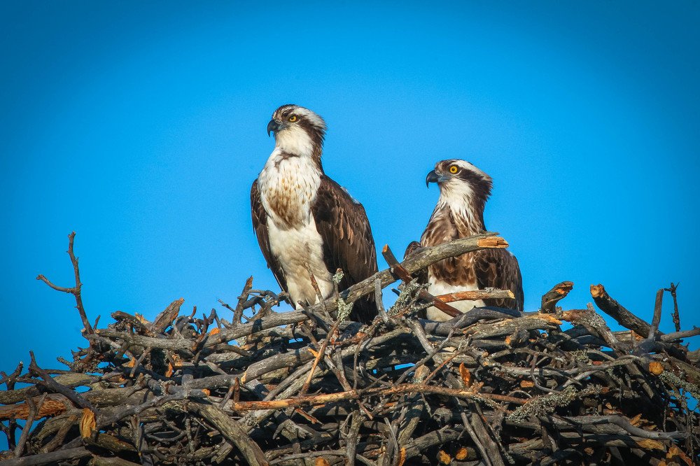 Photograph by Дмитрий