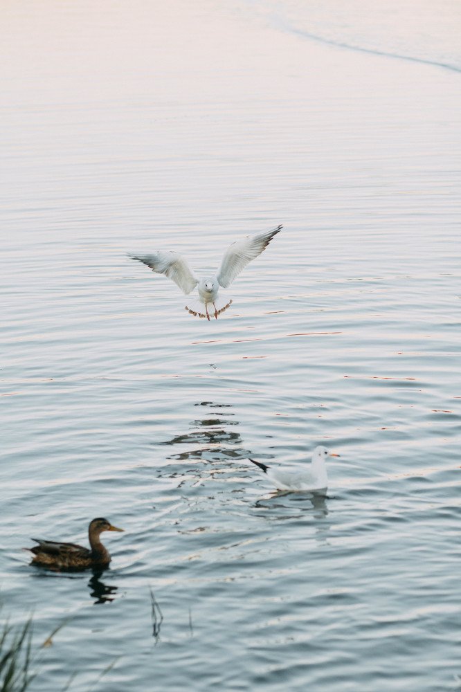 Photograph by Татьяна Тимофеева