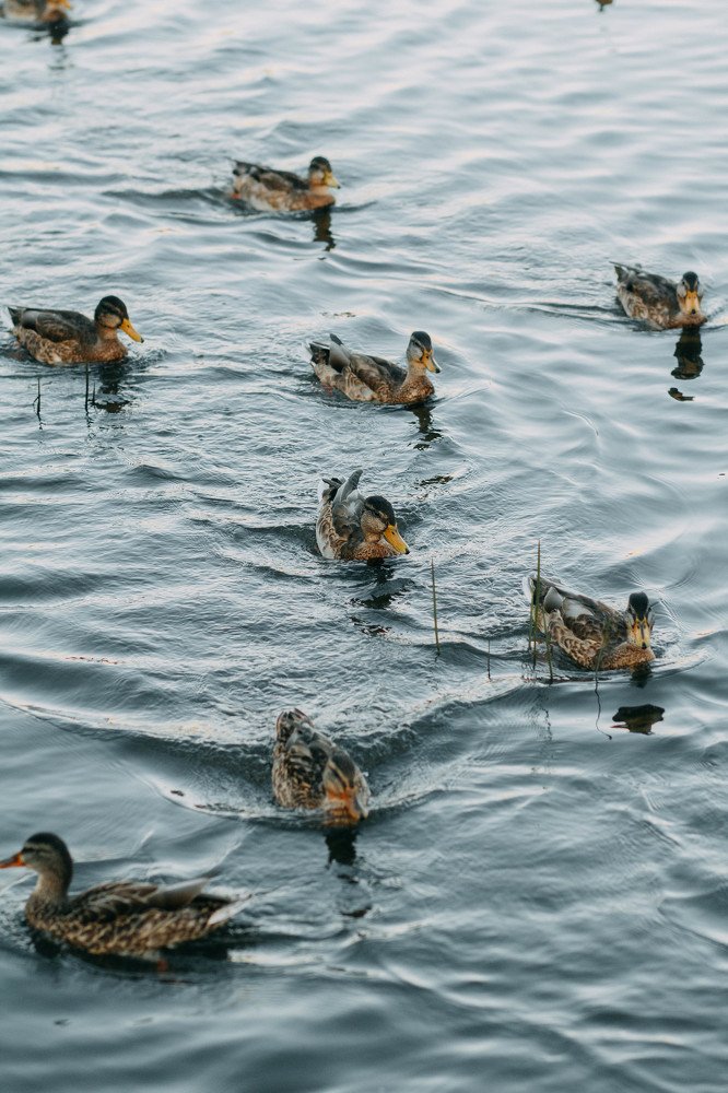 Photograph by Татьяна Тимофеева