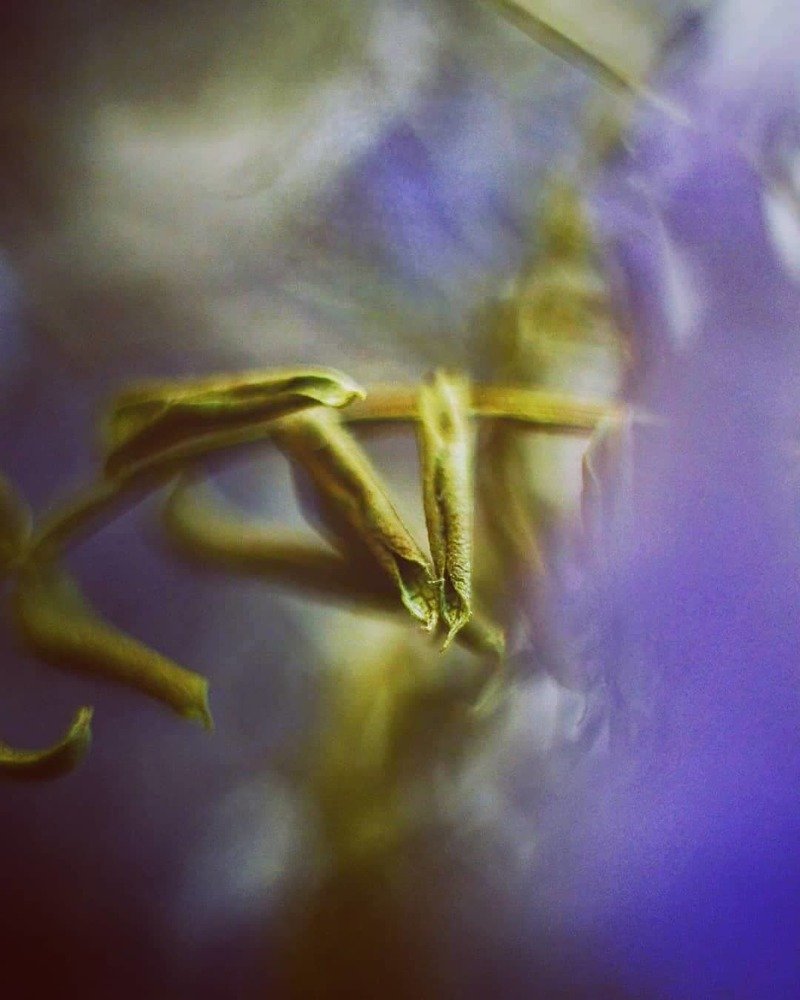 Photograph by Agnieszka