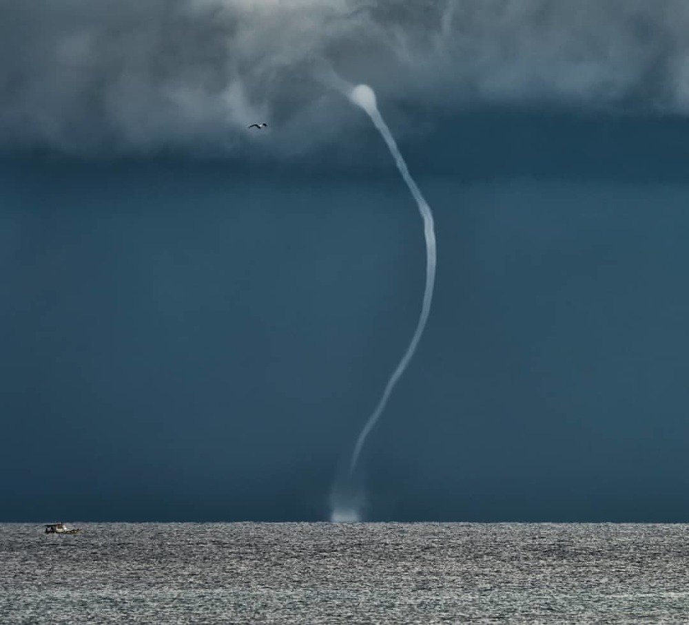 Photograph by Dara Shahsanaei