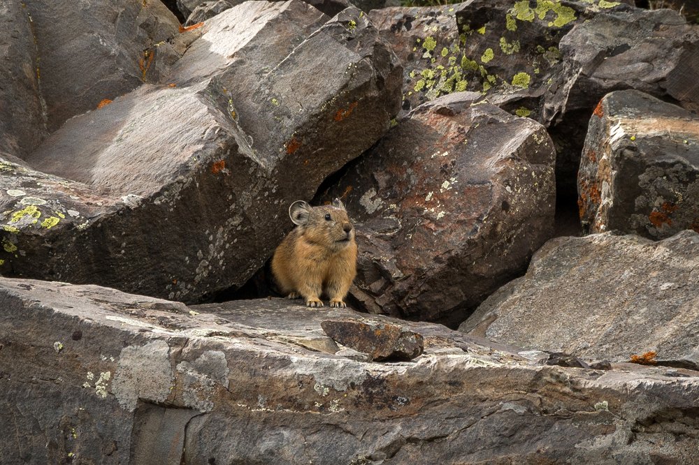 Photograph by Владимир Козьяков