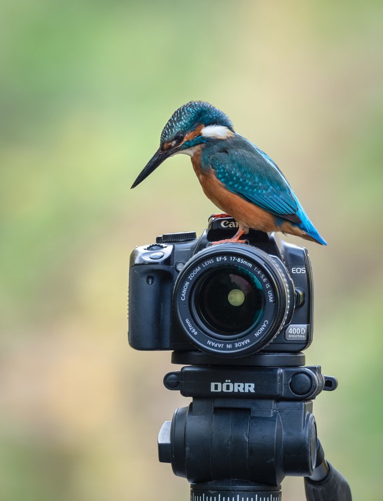 Photograph by Daniel Donaták