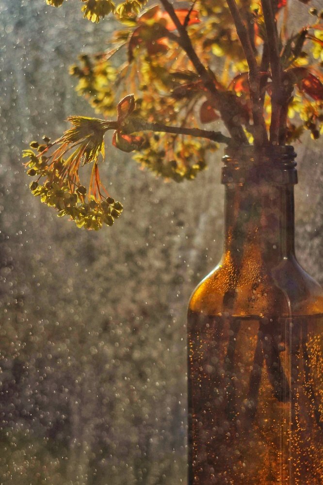 Photograph by Евгения Уманец