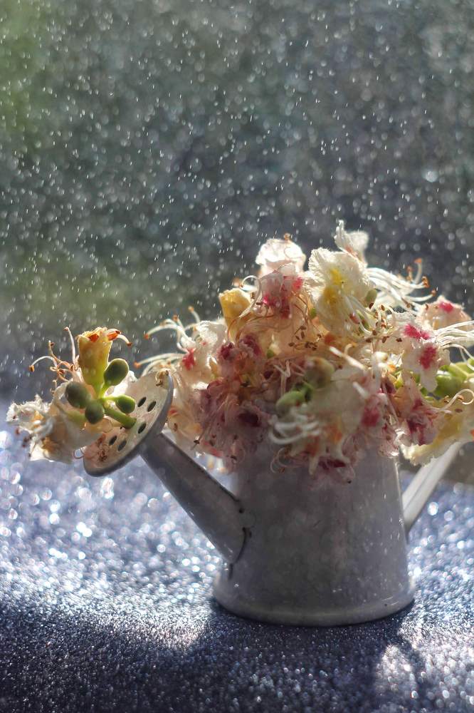 Photograph by Евгения Уманец