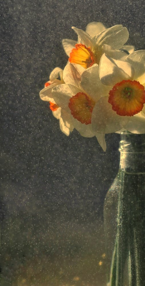 Photograph by Евгения Уманец