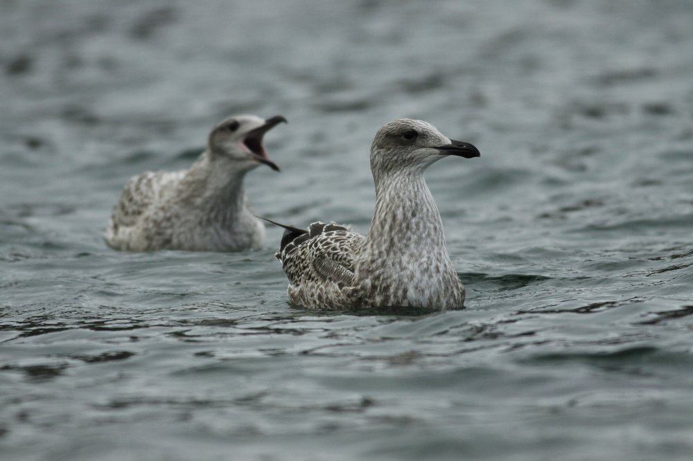 Photograph by Vladimir