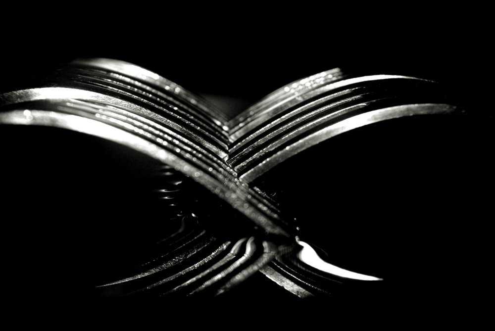 Photograph by cherise kilian