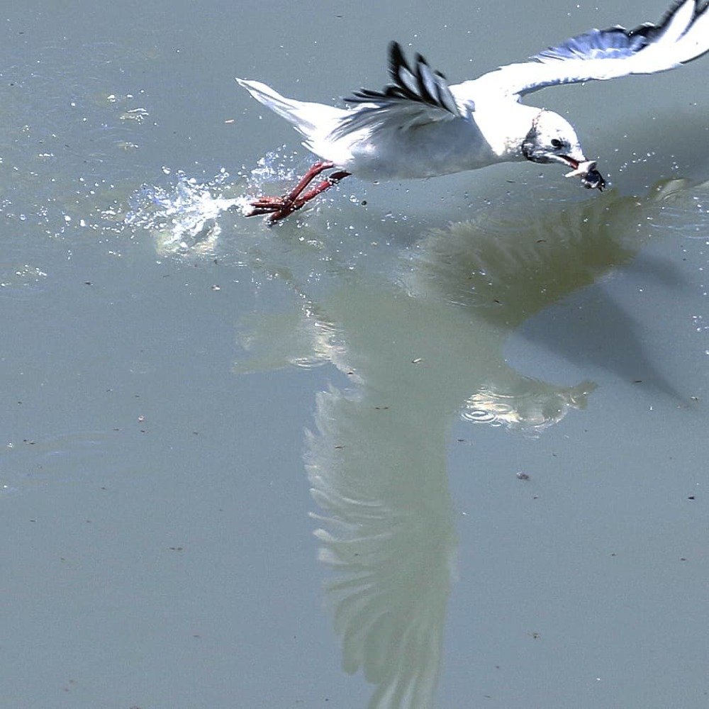 Photograph by Татьяна Исаева