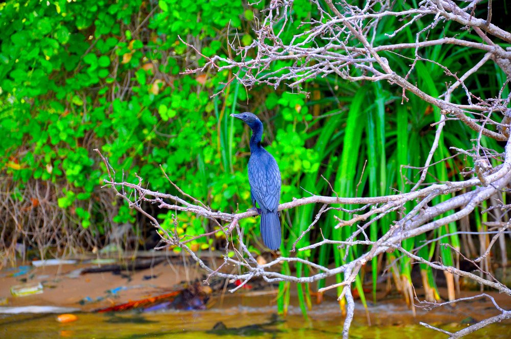 Photograph by Георгий Трофимов