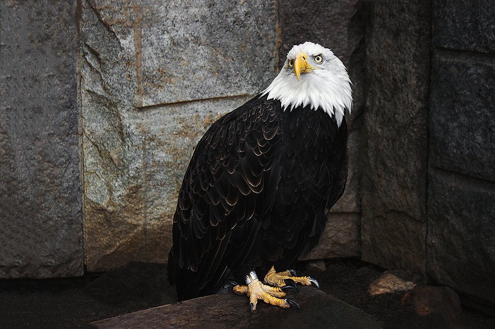 Photograph by Елена Даньшова