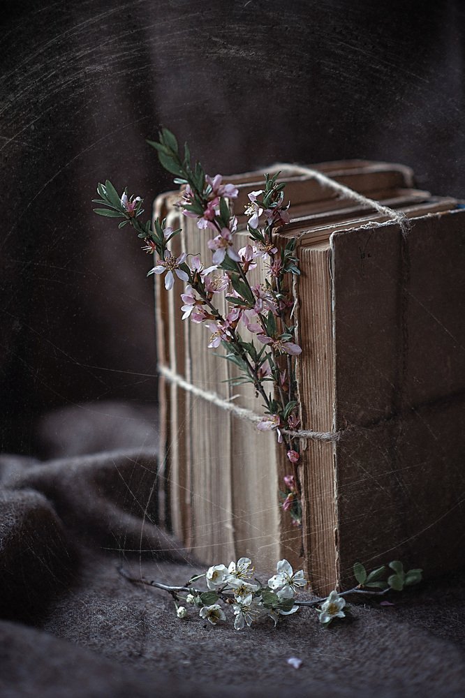 Photograph by Светлана Викторова