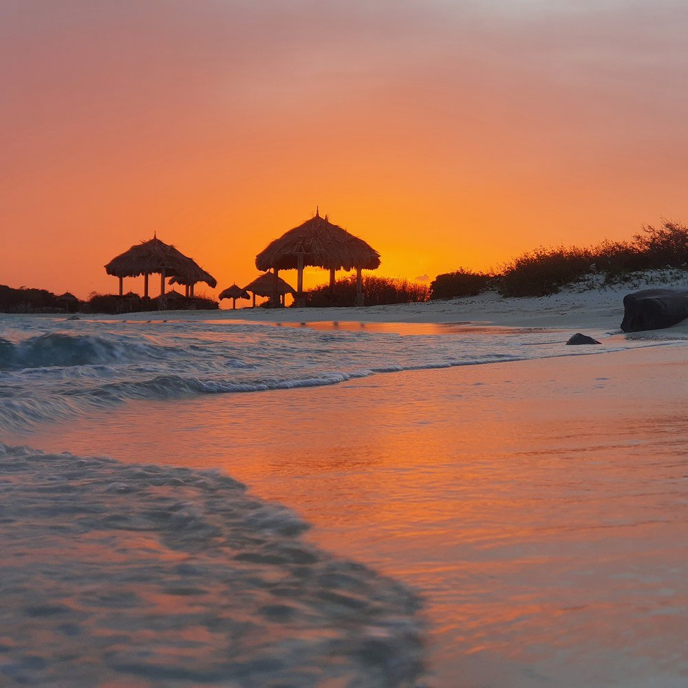 Photograph by Jeannette Beaumont