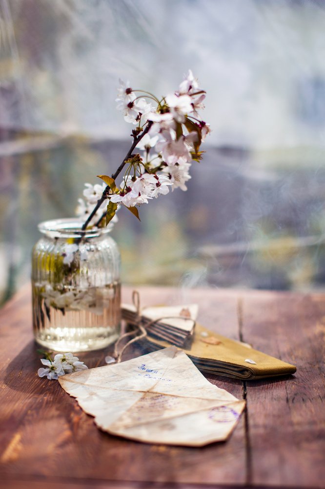 Photograph by Юлия Пулатова