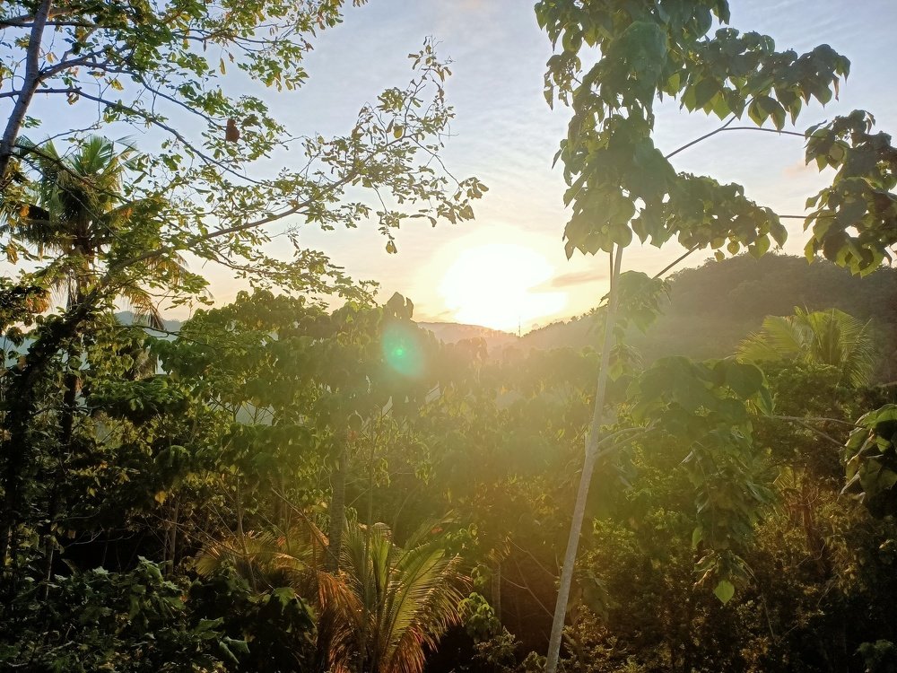 Photo #4926784