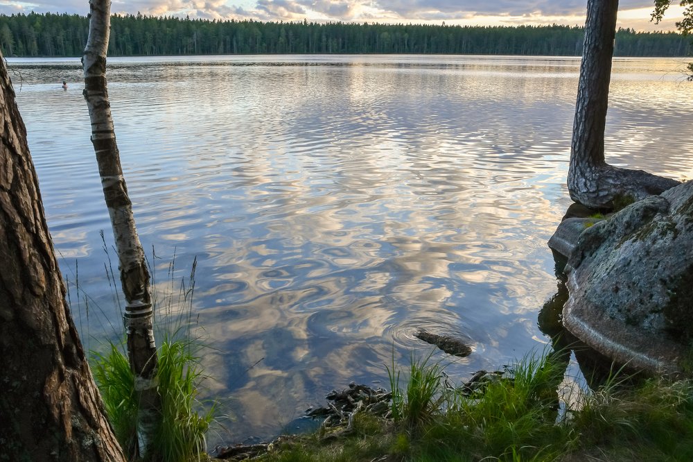 Фотография автора Андрей Симонов