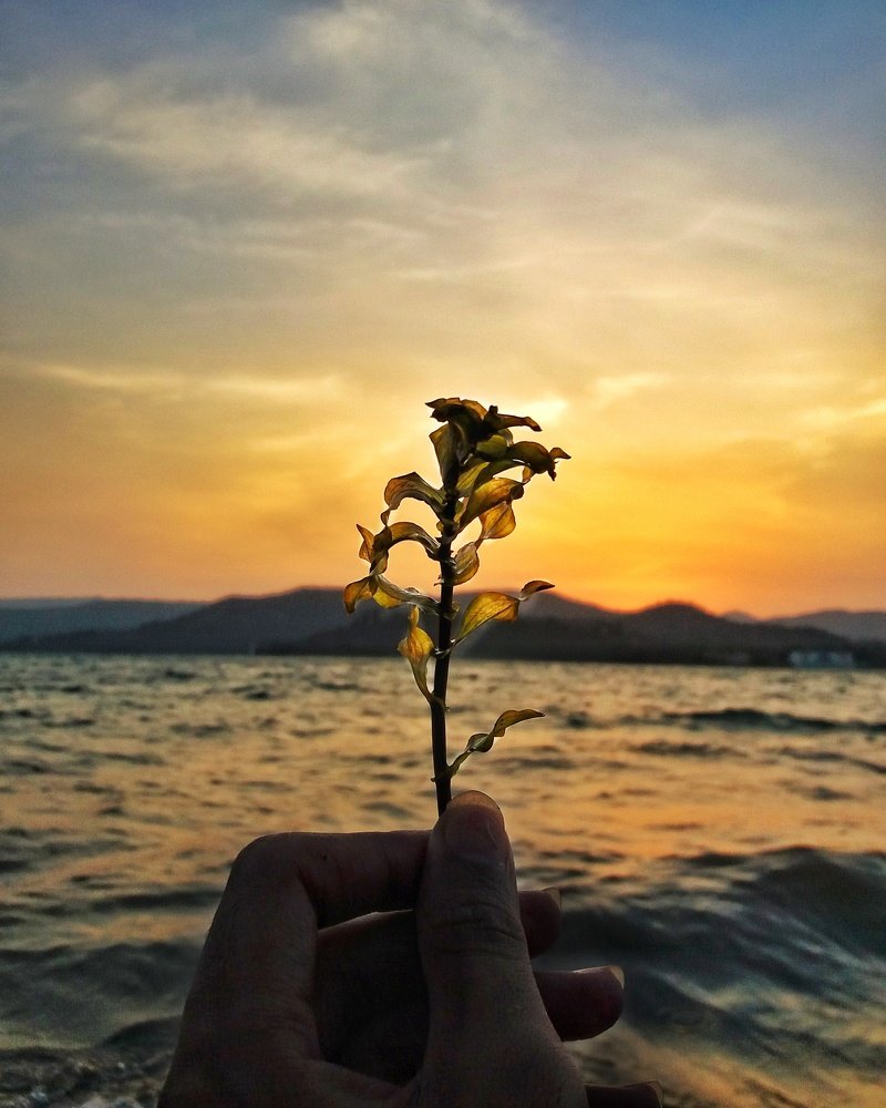 Фотография автора Jayesh Rajput