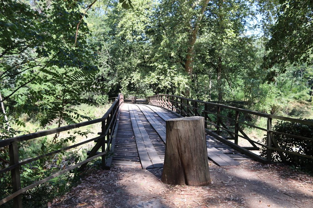 Photograph by José António Garcia Ferreira de Almeida