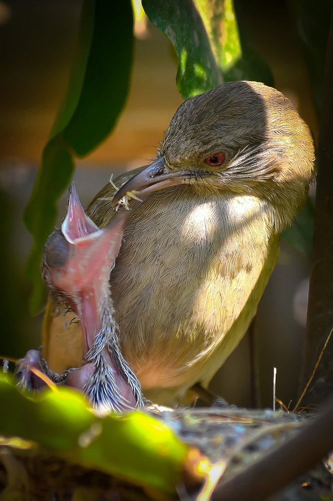 Photograph by Ye Chit Paing
