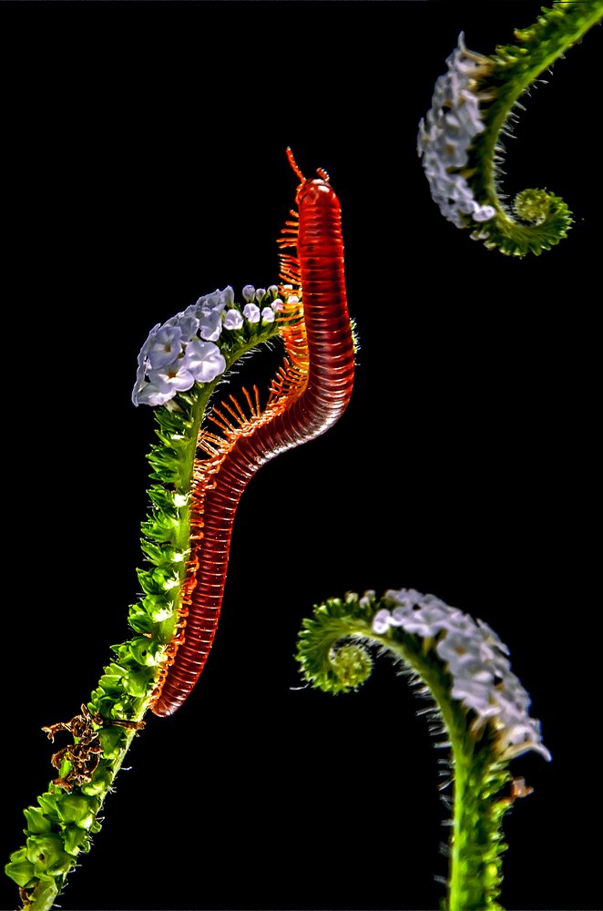 Photograph by Ye Chit Paing