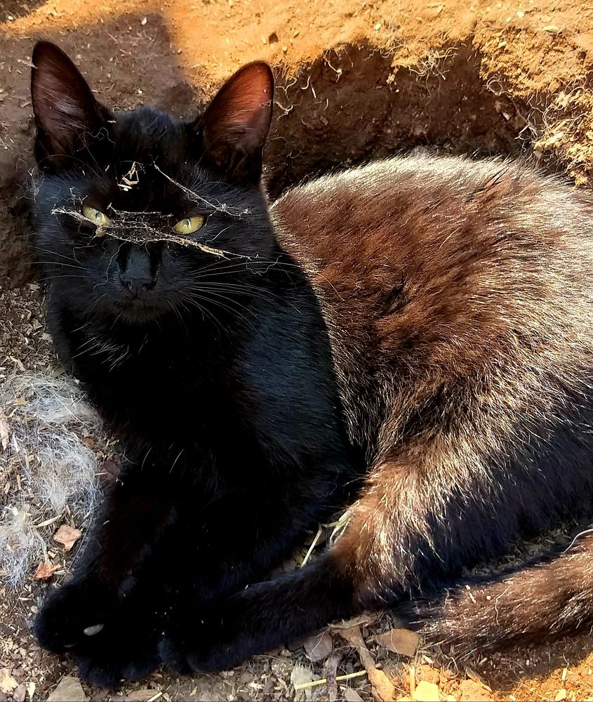 Photograph by Светлана Середина