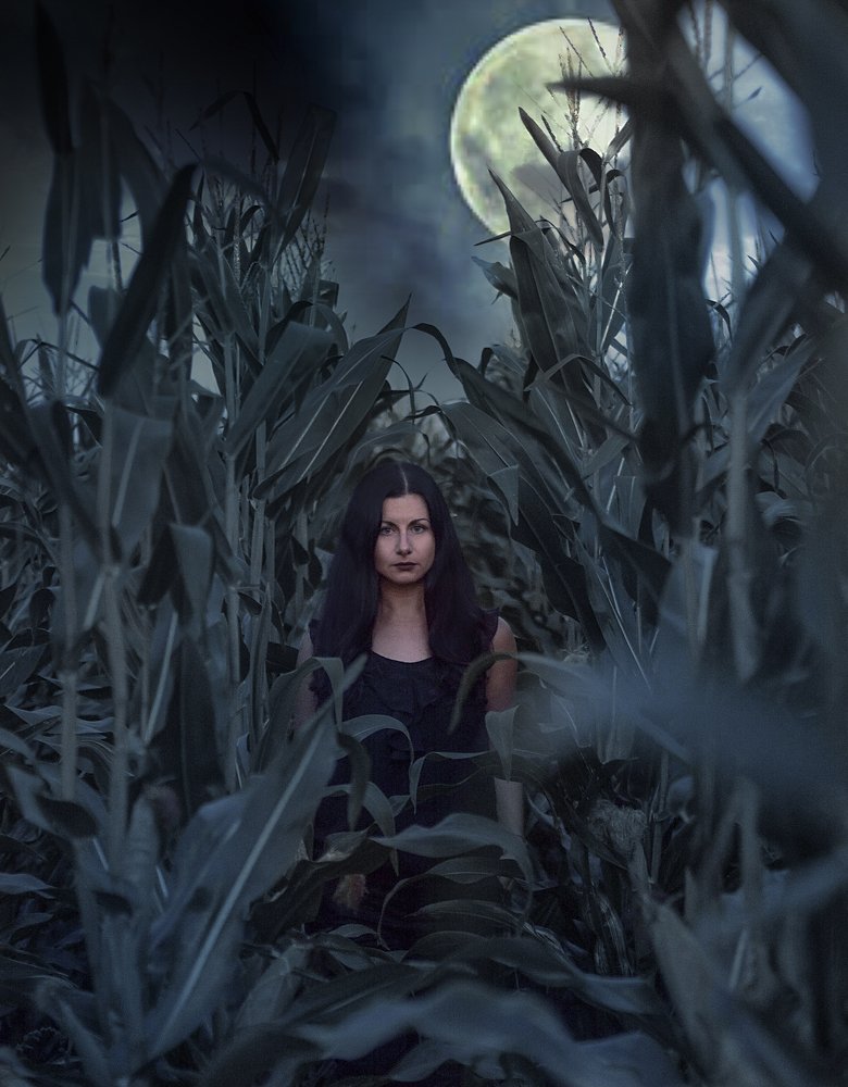 Полнолуние