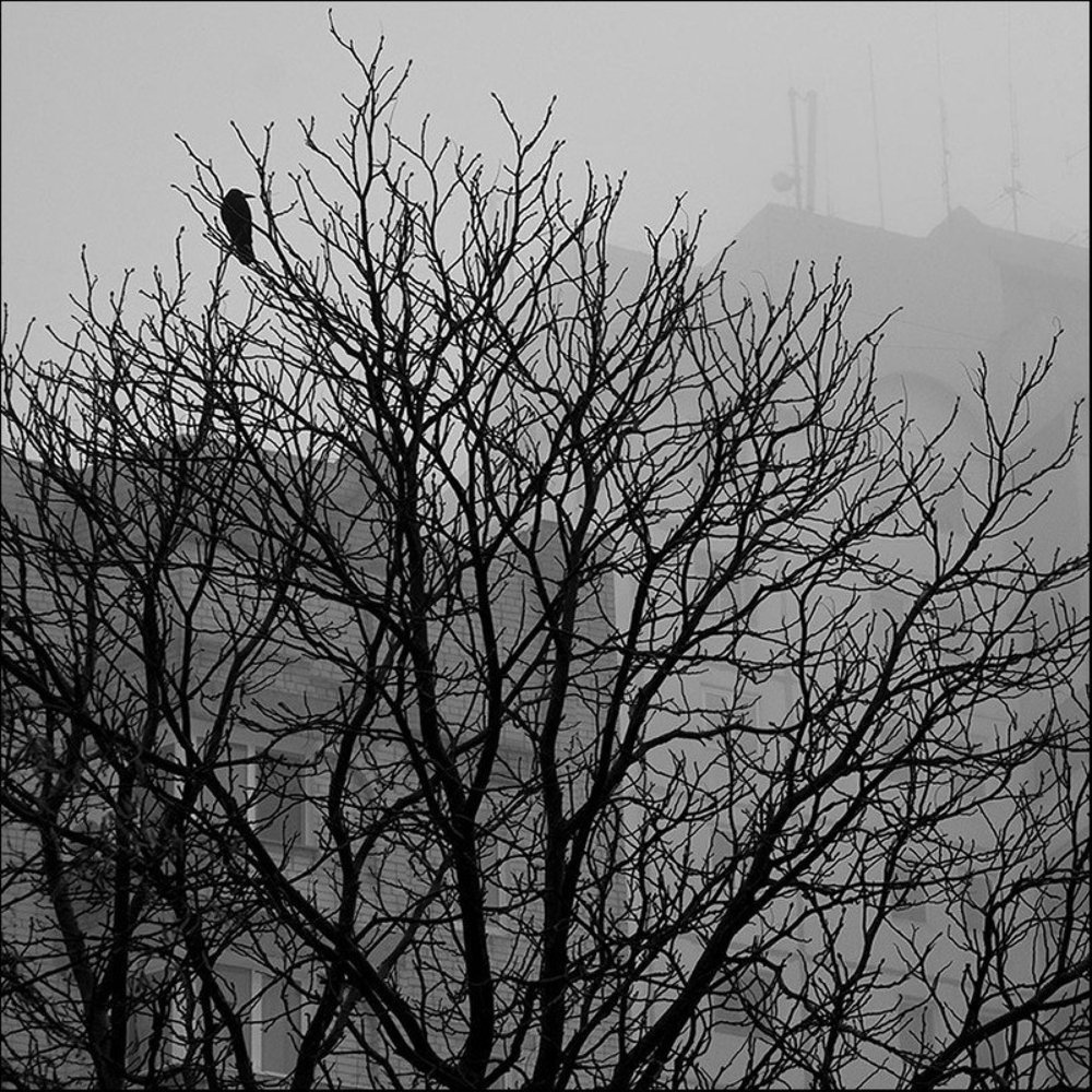 Городское одиночество