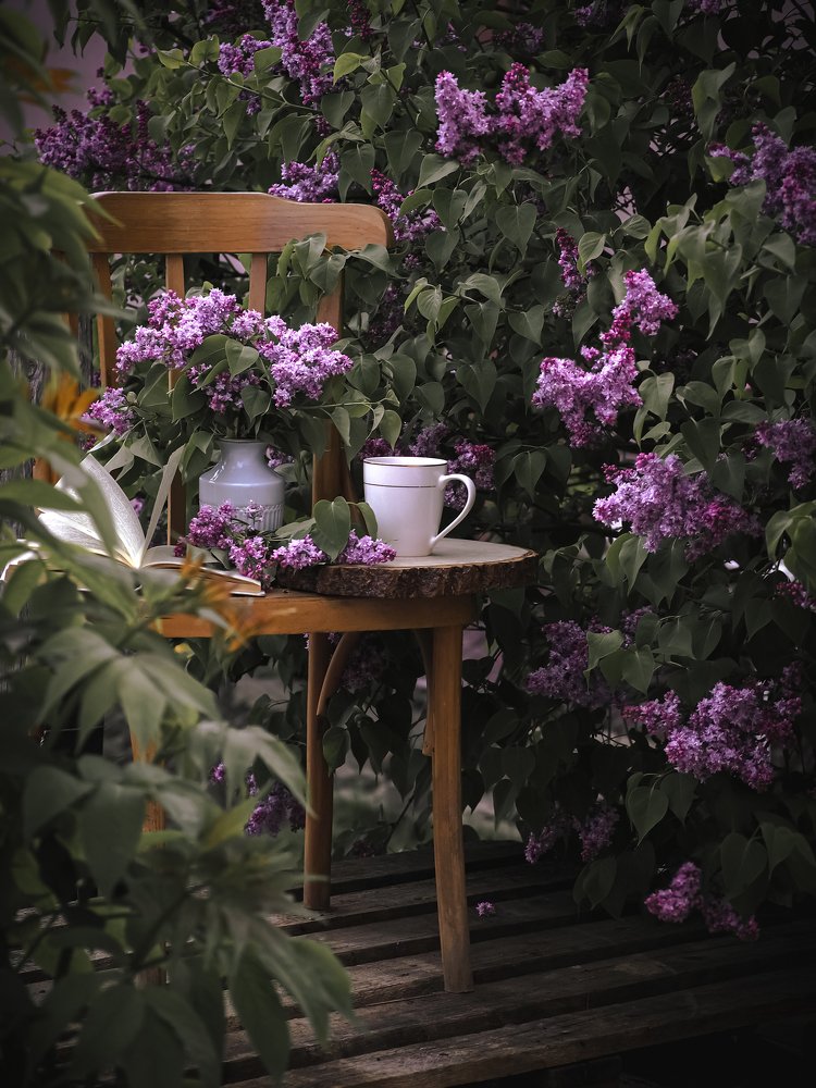 Photograph by Ирина Семёнова