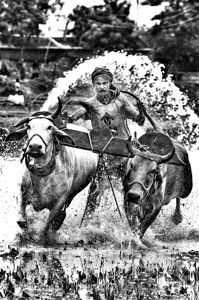 Photograph by DIBAKAR ROY