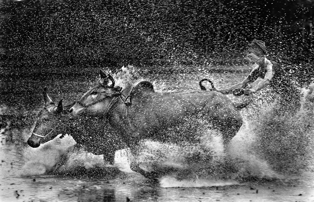 Photograph by DIBAKAR ROY