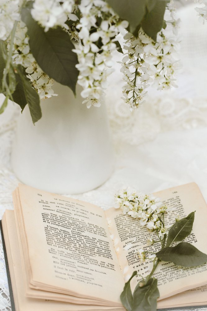 Photograph by Прозорова Наталья