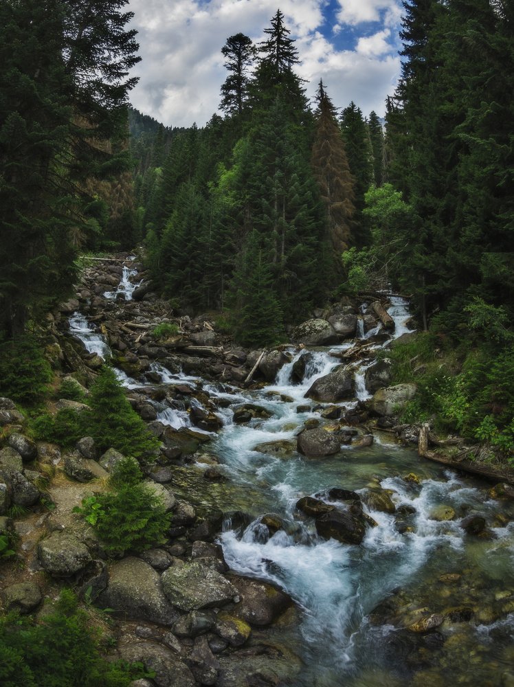 Photograph by Антон Литвин