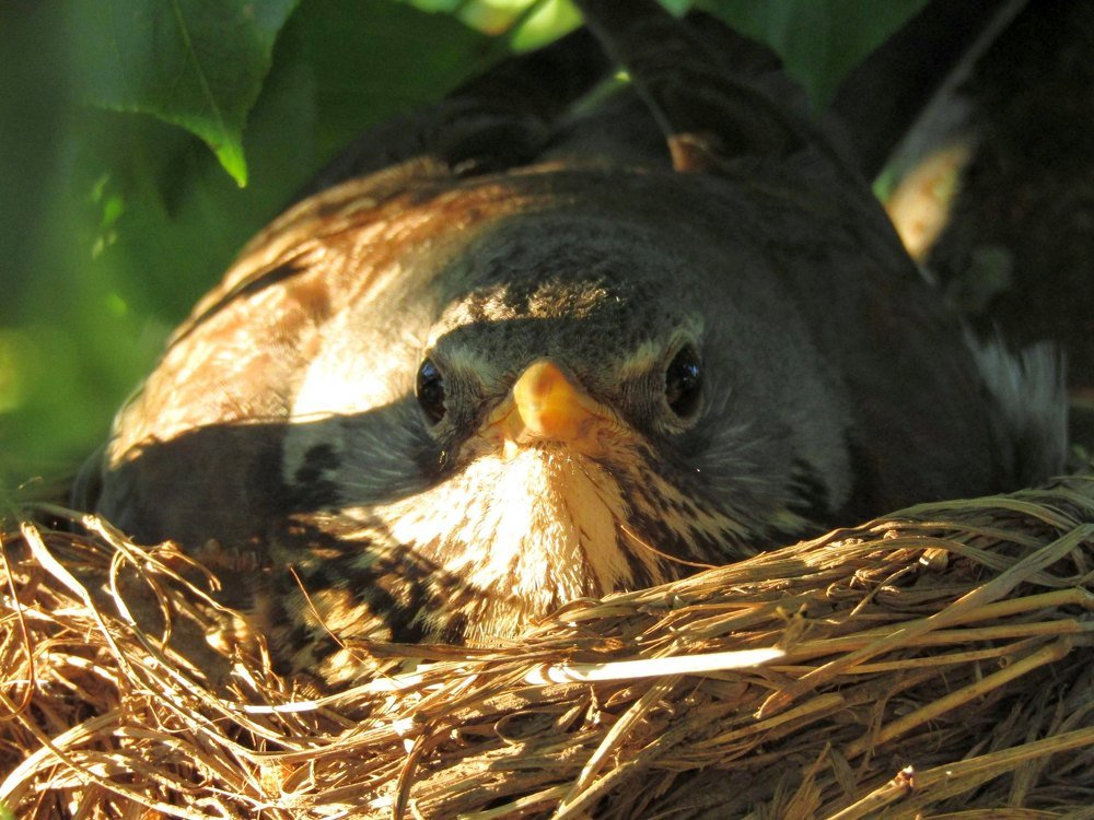 Глаза в глаза!