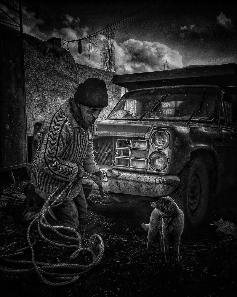 Фотография автора Mansoor Heydaryan