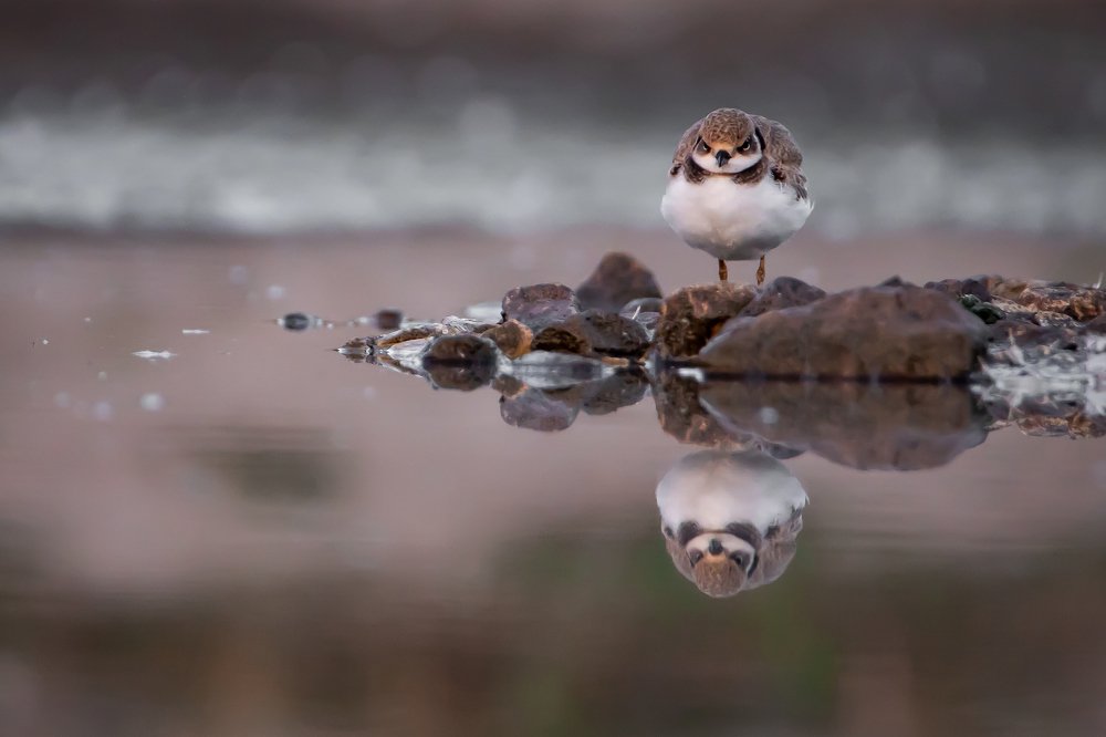 Маленькая злюка :)