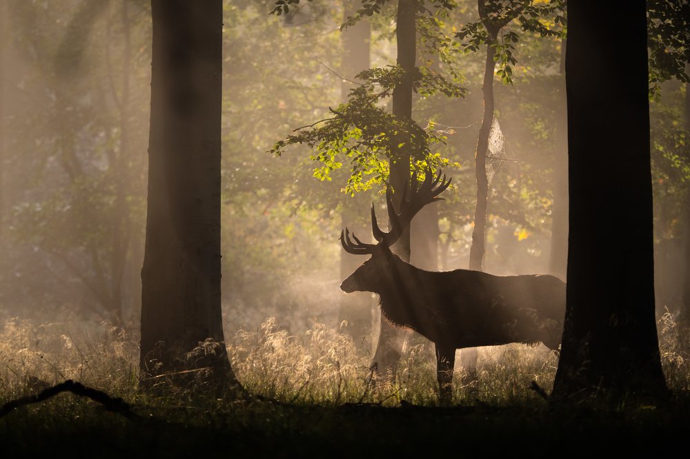 Photograph by Daniel Donaták