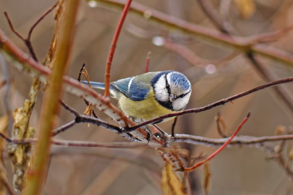 Photograph by Анатолий Калмыков