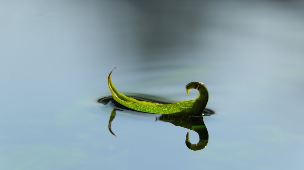 Photograph by Александр Шаварёв