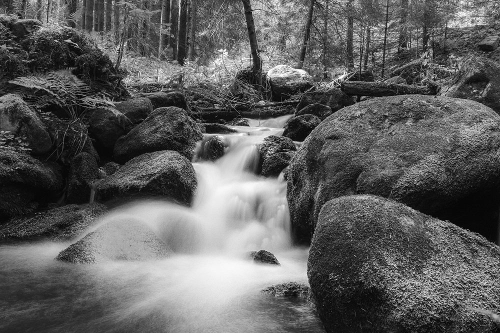 Stream on Harghita 3