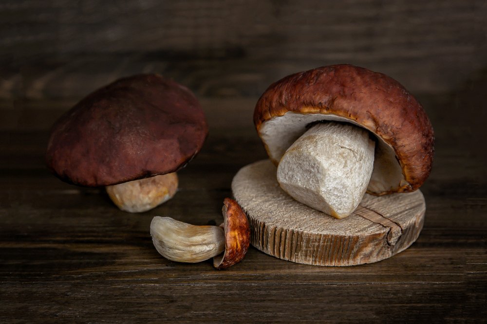 Photograph by Алла Мещерякова