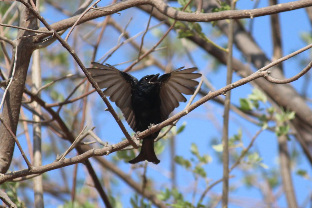 Photograph by Somnath Bhalke