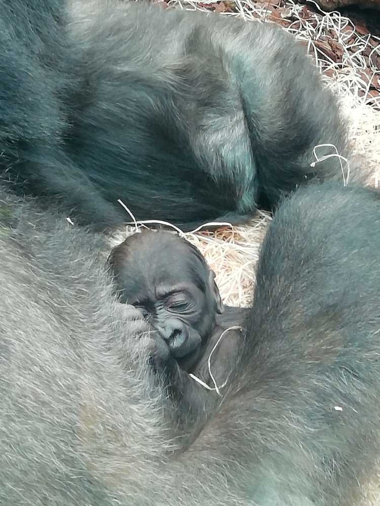 We are the adults who protect our children.....