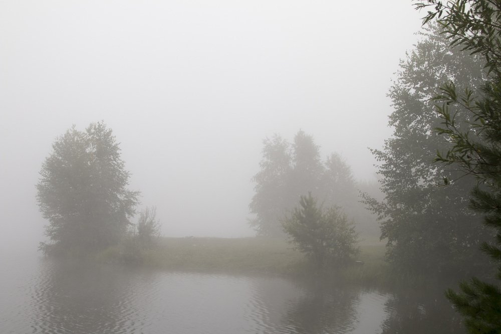 Фотография автора Владимир